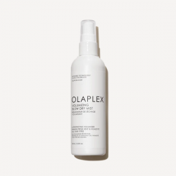 Screenshot 2025-05-28 at 18-46-30 VOLUMIZING BLOW DRY MIST